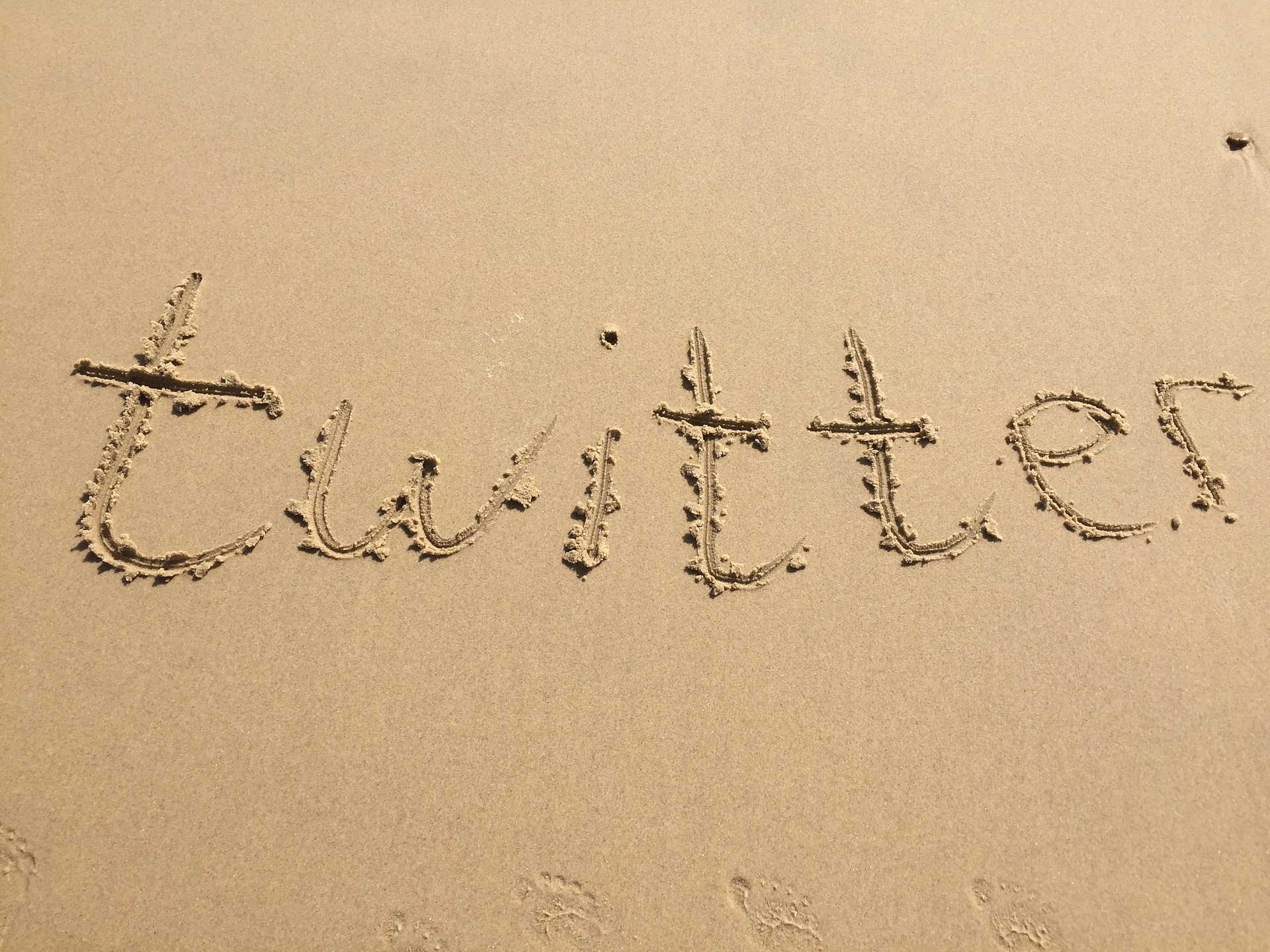 Twitter has Created Team to Build Decentralized Social Media