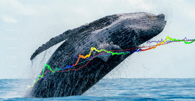 ETH Whale Exchange Addresses Hold 5.83 Million Ether
